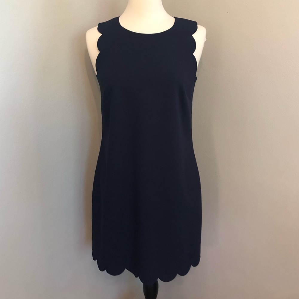 J Crew dress